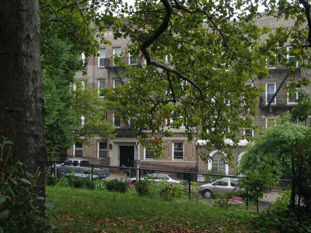 44 街上的历史联排住宅（brownstone row houses）
