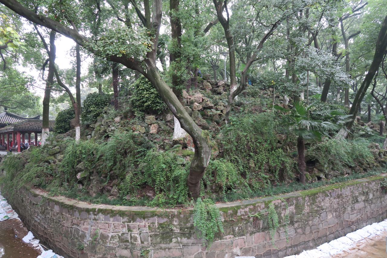 中山广场上的市民活动