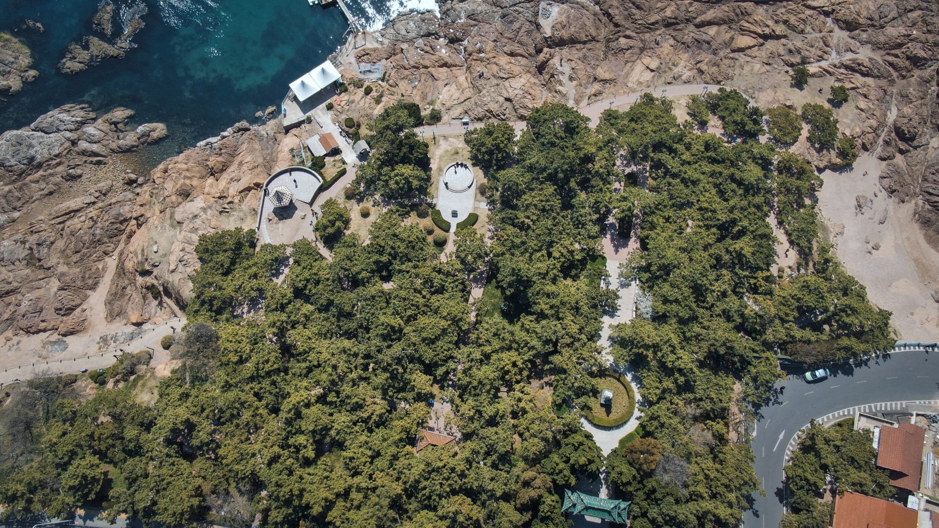 鲁迅公园海岸线，礁石、松林与步道交织的海滨景观