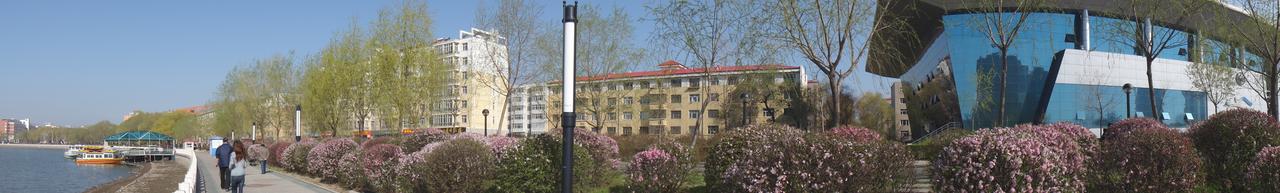 齐齐哈尔大学劳动湖侧全貌