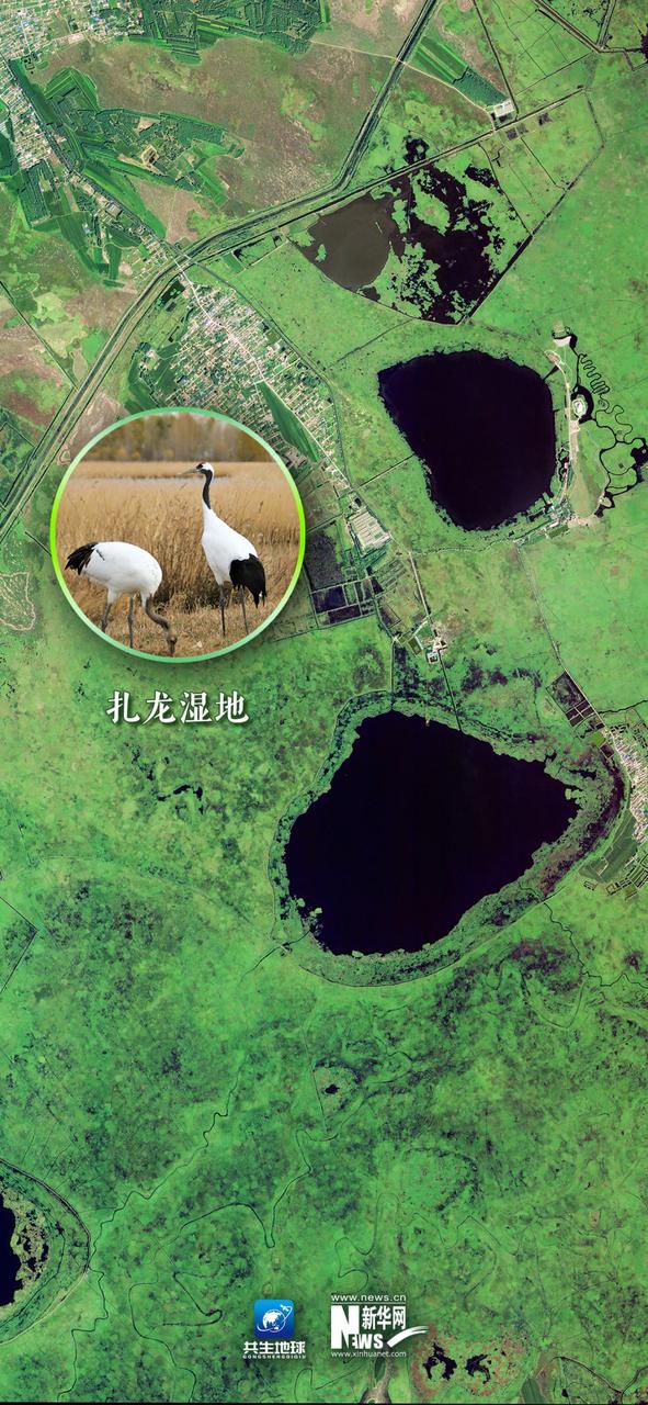 卫星视角下的扎龙湿地及乌裕尔河流域