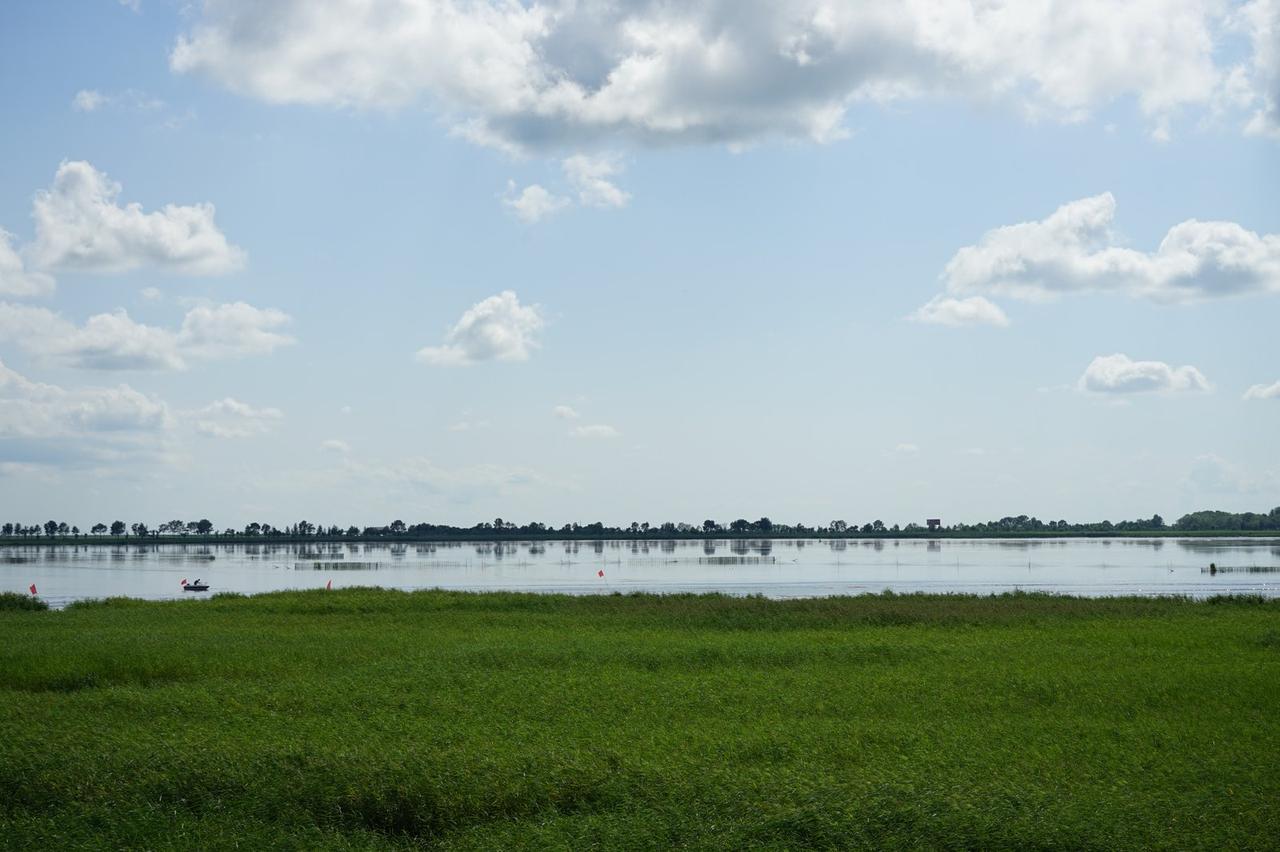 扎龙湿地芦苇沼泽与水面