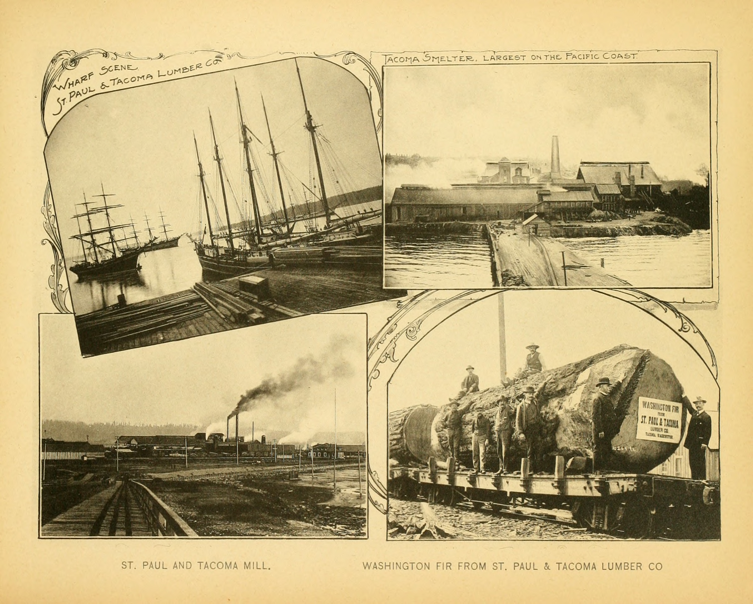 1900 年 Tacoma Smelter 与 St Paul/Tacoma 木材厂的全景