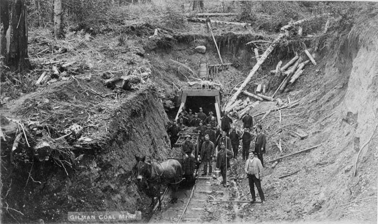 1892-1899 年间 Gilman Coal Mine 的工人与马