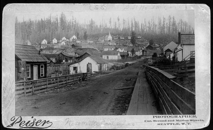 1885 年前后的 Newcastle 矿镇全景