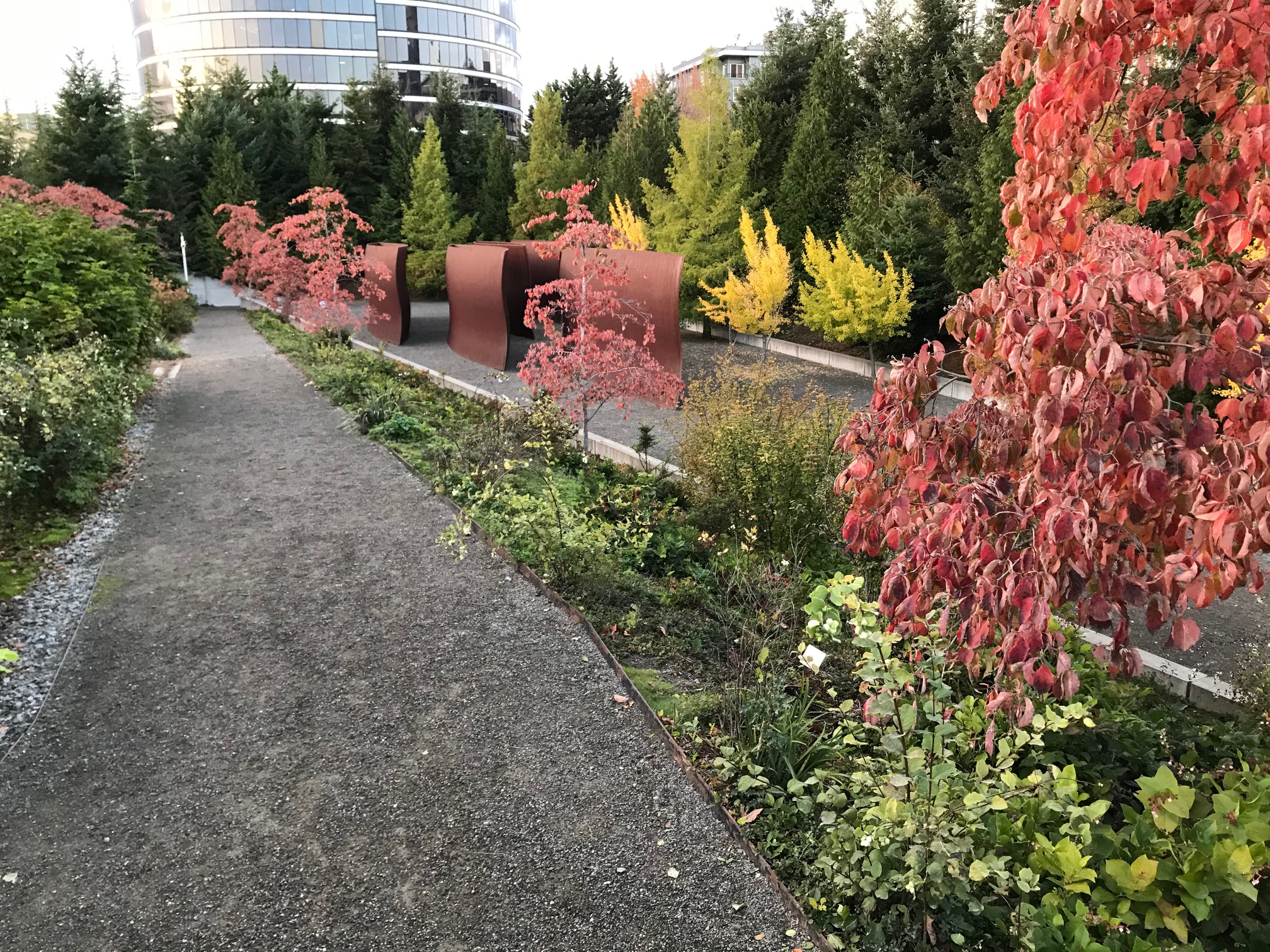 秋天的 Valley 区与 Wake：5 对 corten 钢板从地面起立约 14 英尺，表面是稳定的 rust patina；地面落叶与原生植被在覆盖层之上