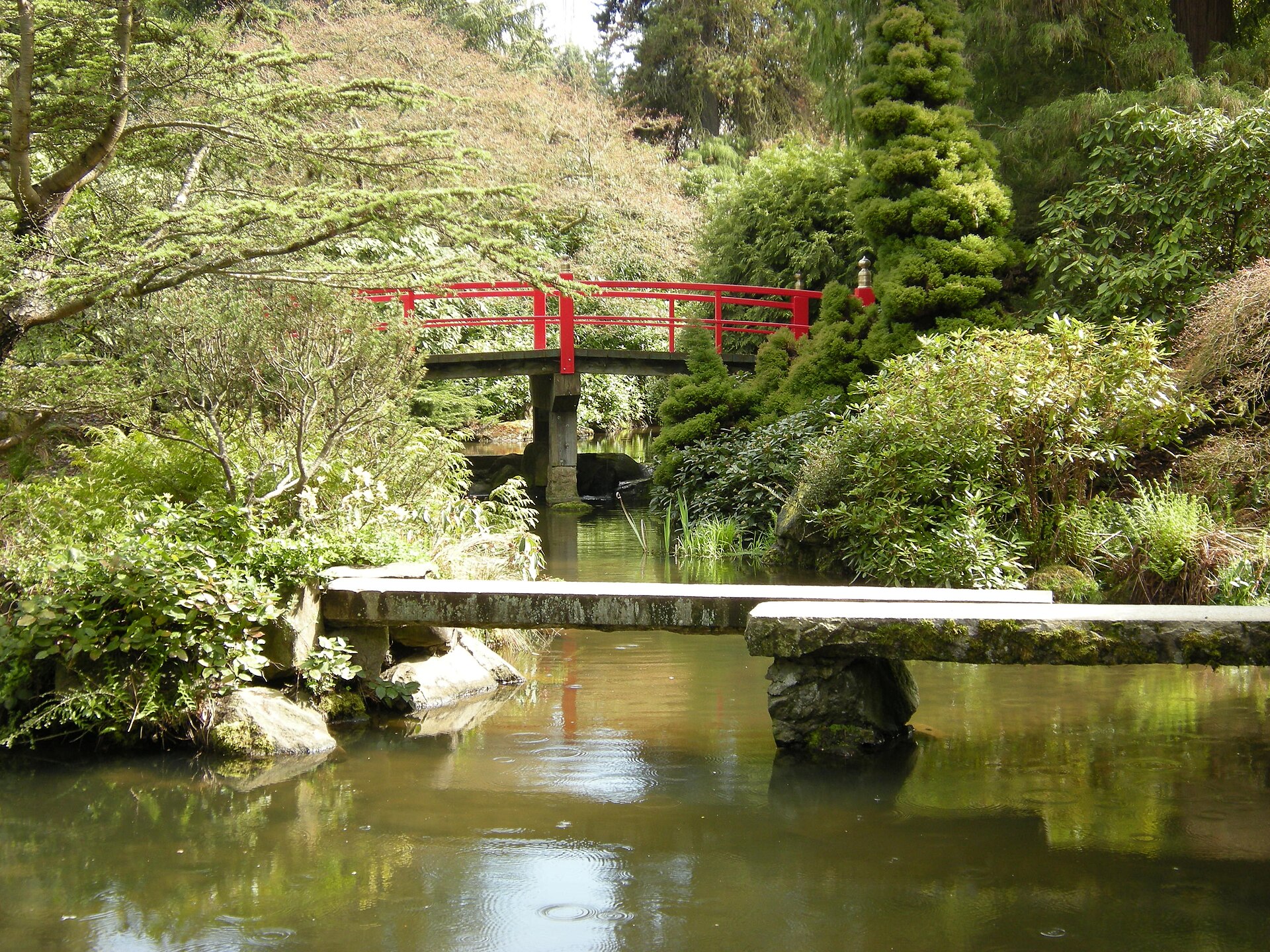 Kubota Garden 的红色 Heart Bridge 横跨 Mapes Creek