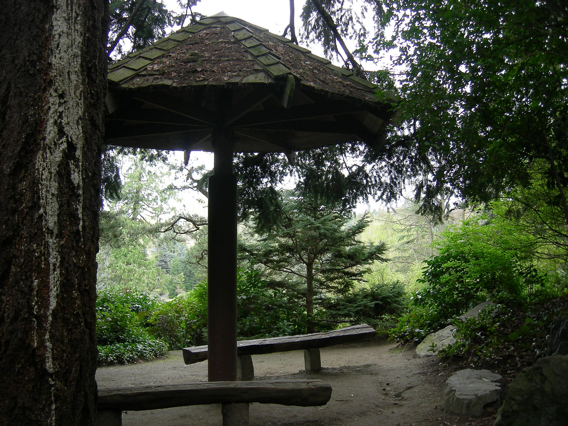 Kubota Garden 的 Mountainside 远景，从园面升起 65 英尺