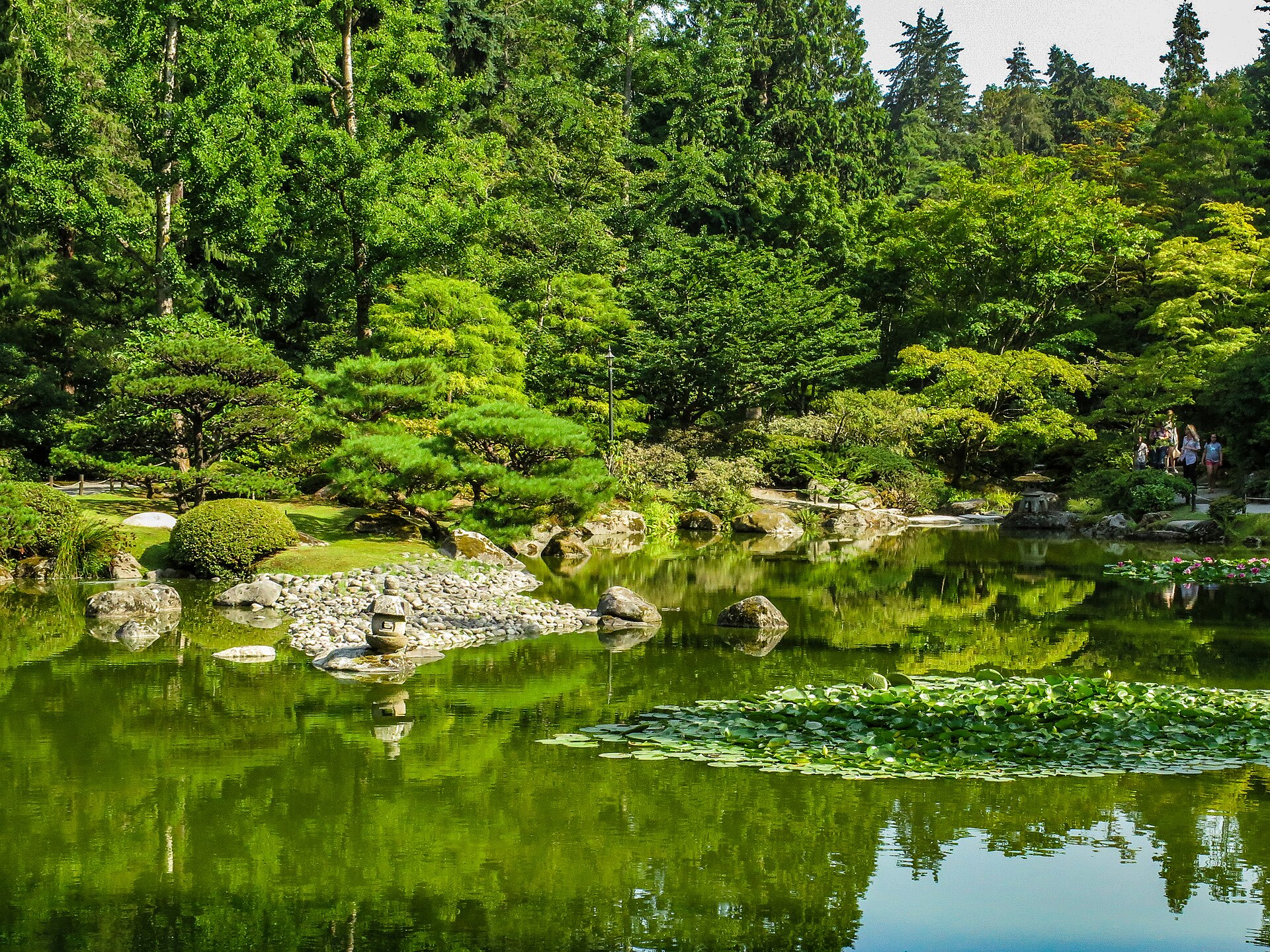 Seattle Japanese Garden 的 stroll garden 主水池与北侧 stone arrangement