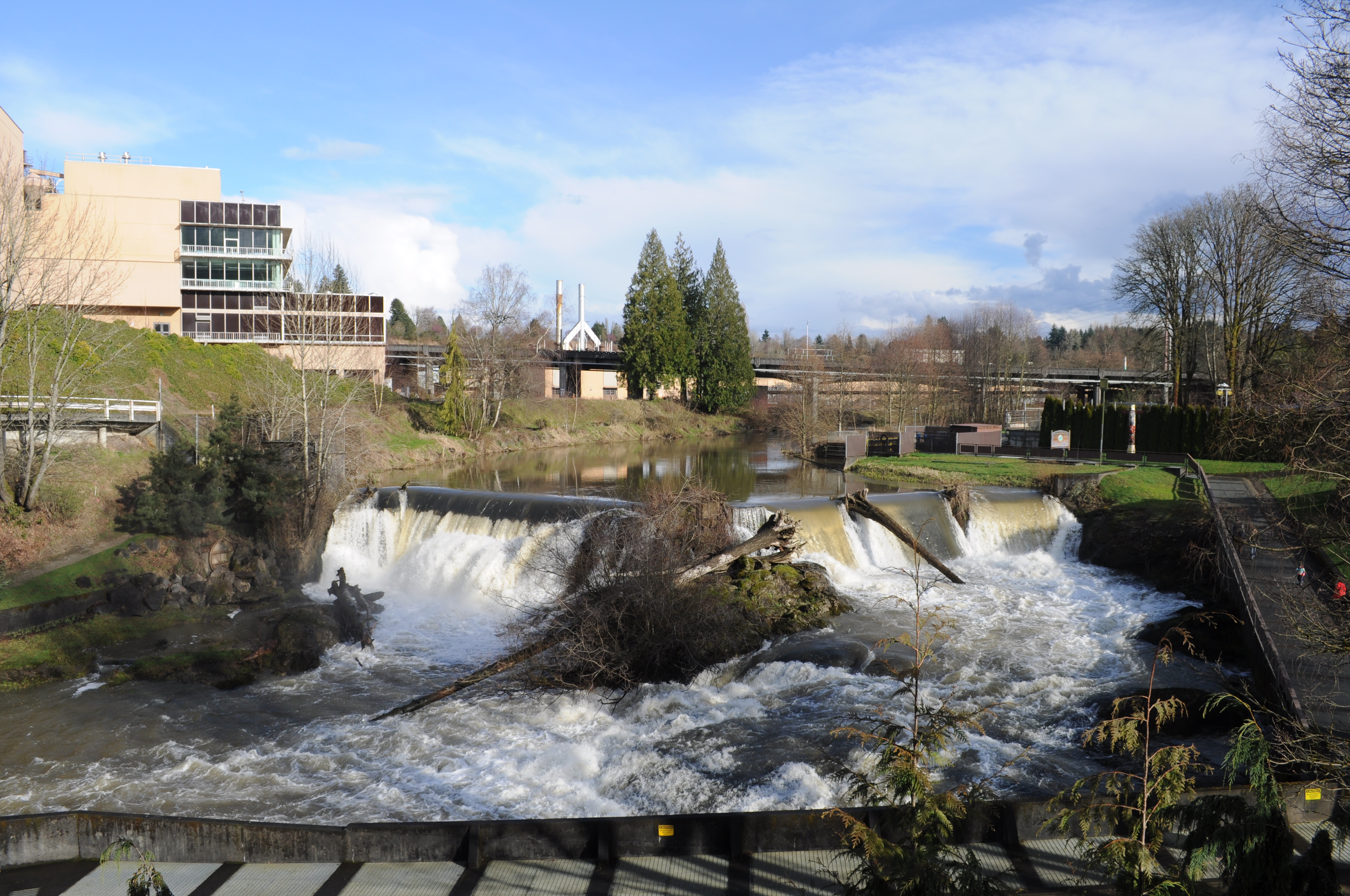Upper Tumwater Falls