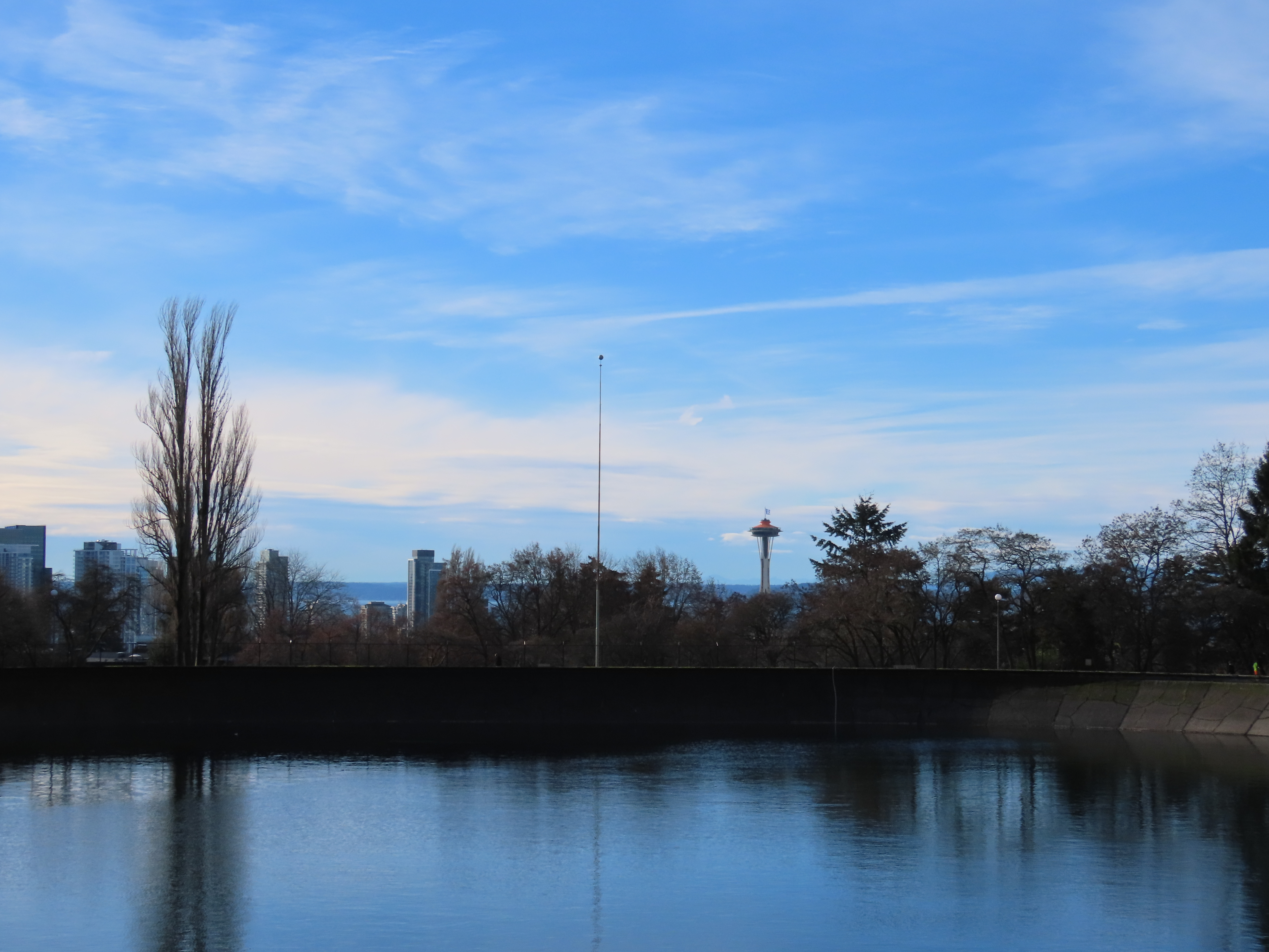 Volunteer Park 水库东侧台地往西看：水面、远处 Olympic Mountains、Space Needle 塔尖落在同一条视轴