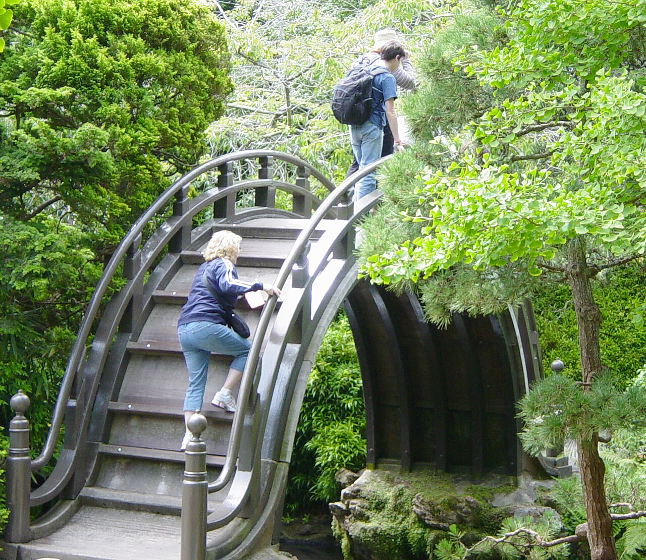 Drum Bridge in Japanese Tea Garden