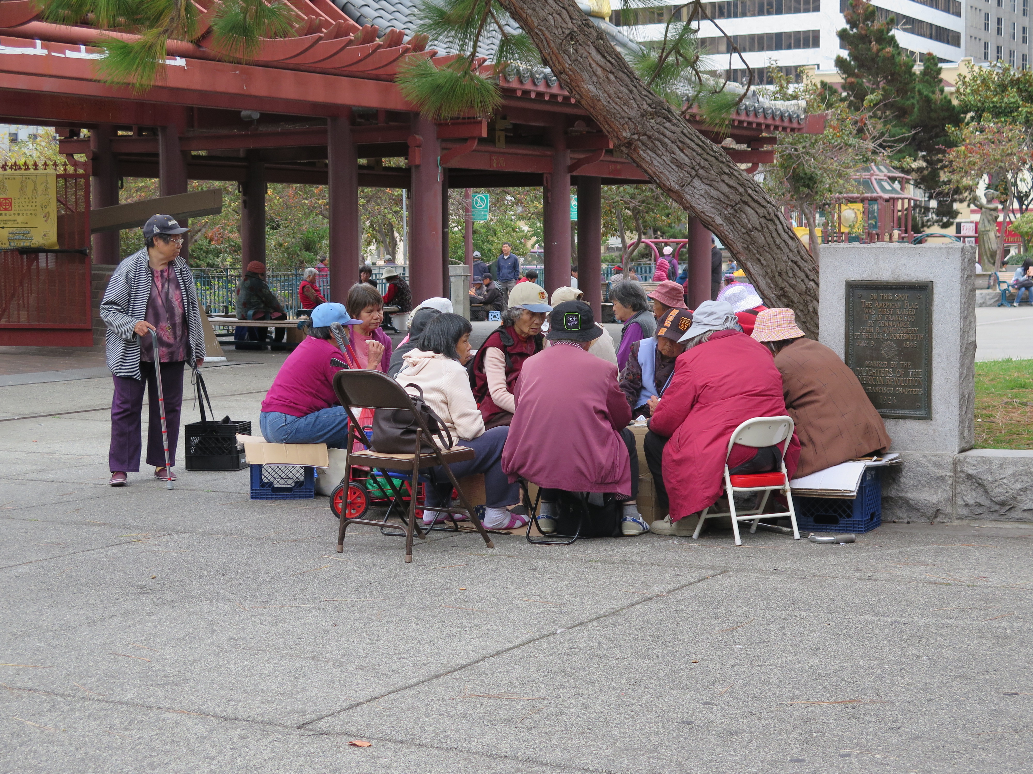 今天 Portsmouth Square 的老人在下棋