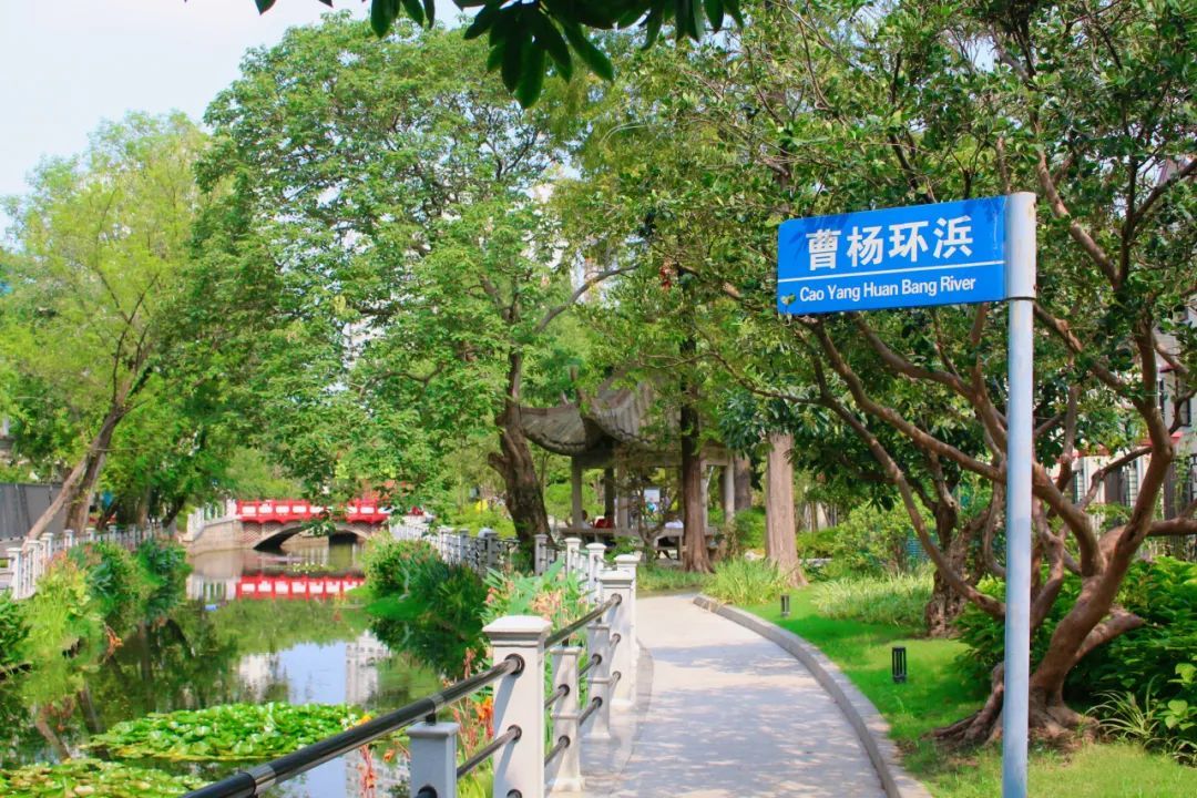 曹杨环浜滨水步道，河道两岸慢行步道和绿化