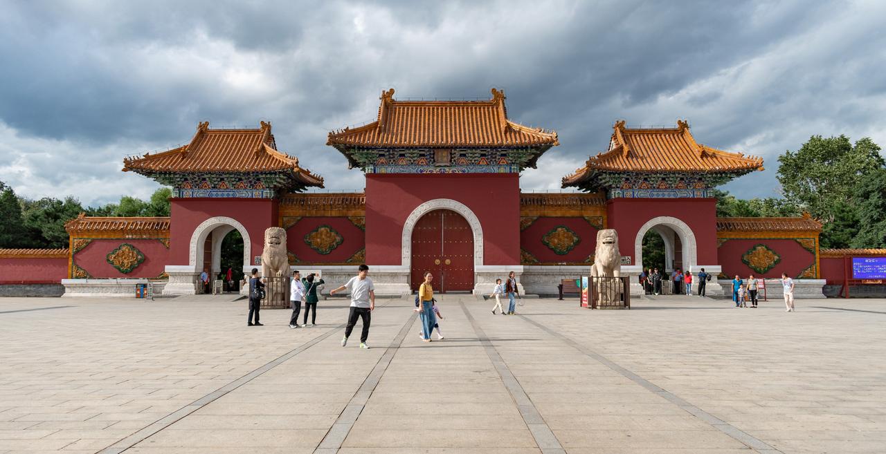 北陵公园古松林