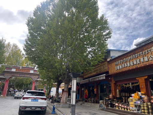 步行街店铺类型过渡