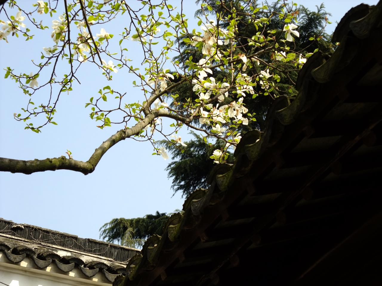 补秋舫：环秀山庄唯一从建园保存至今的建筑，前临池水、后依假山次峰