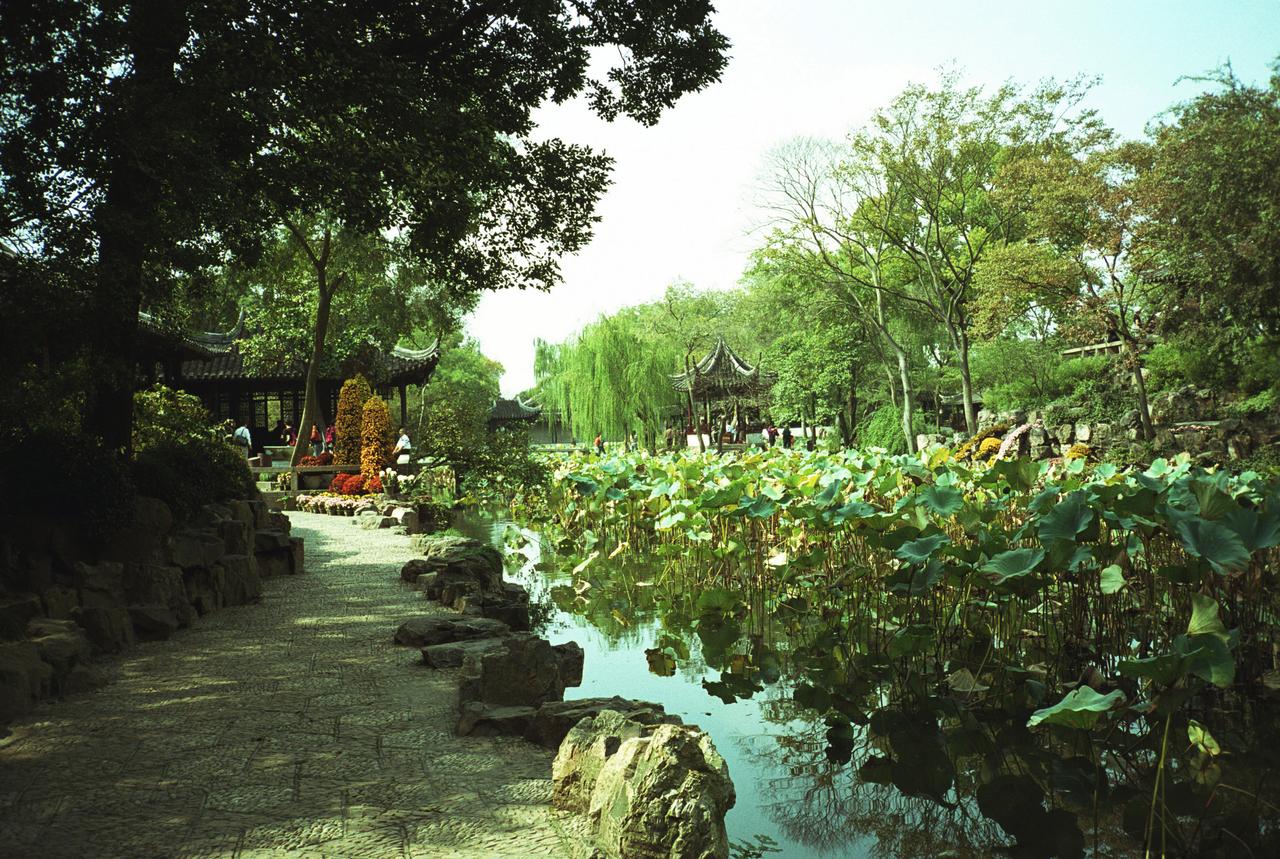 狮子林湖心亭与假山，水面和假山的关系，建筑被假山包围，视线受到阻隔