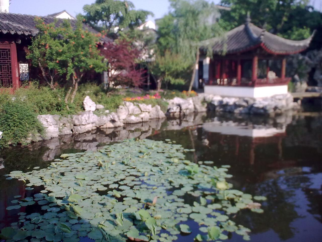 艺圃池北建筑群全景