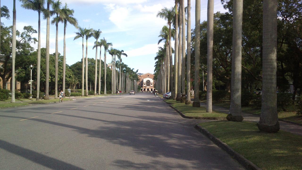 椰林大道从校门到图书馆方向的轴线全景