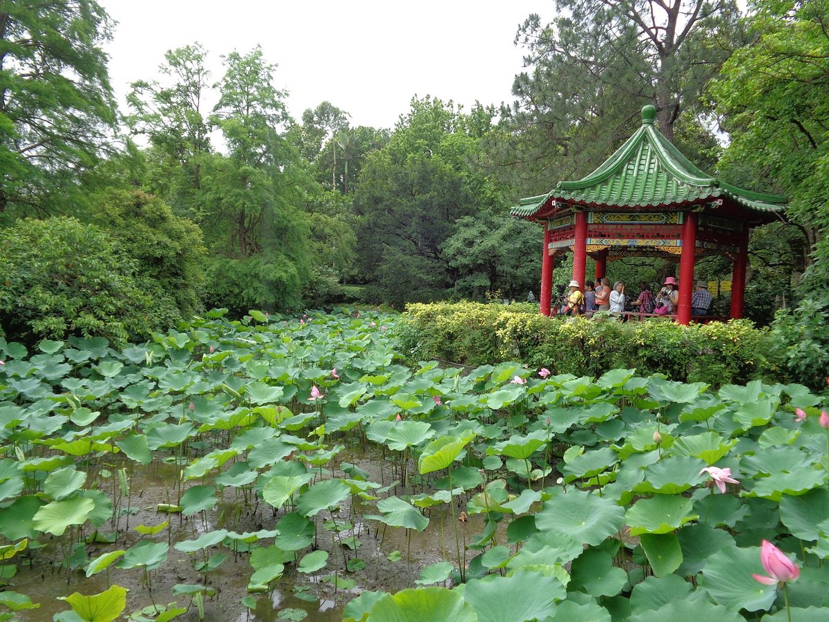 A traditional Chinese pavilion with a green-tiled roof is situated amidst lush g