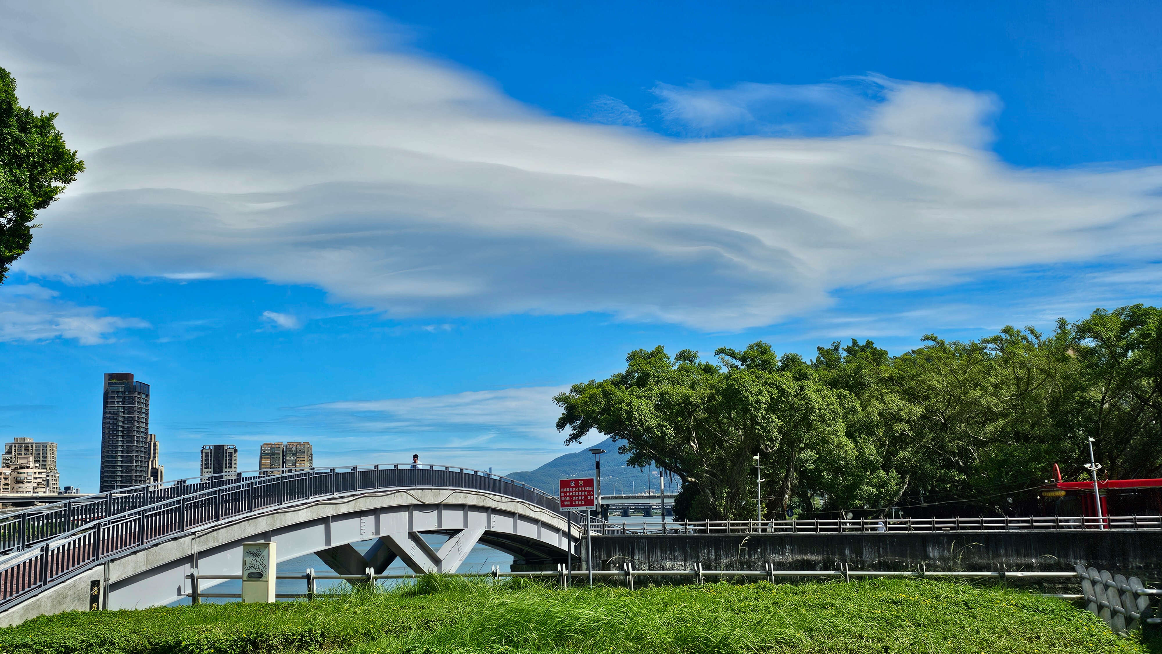 A bridge spans over a green park area with tall trees on the right, while in the