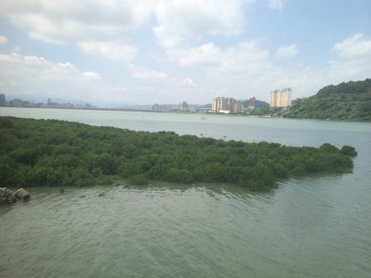 关渡自然公园