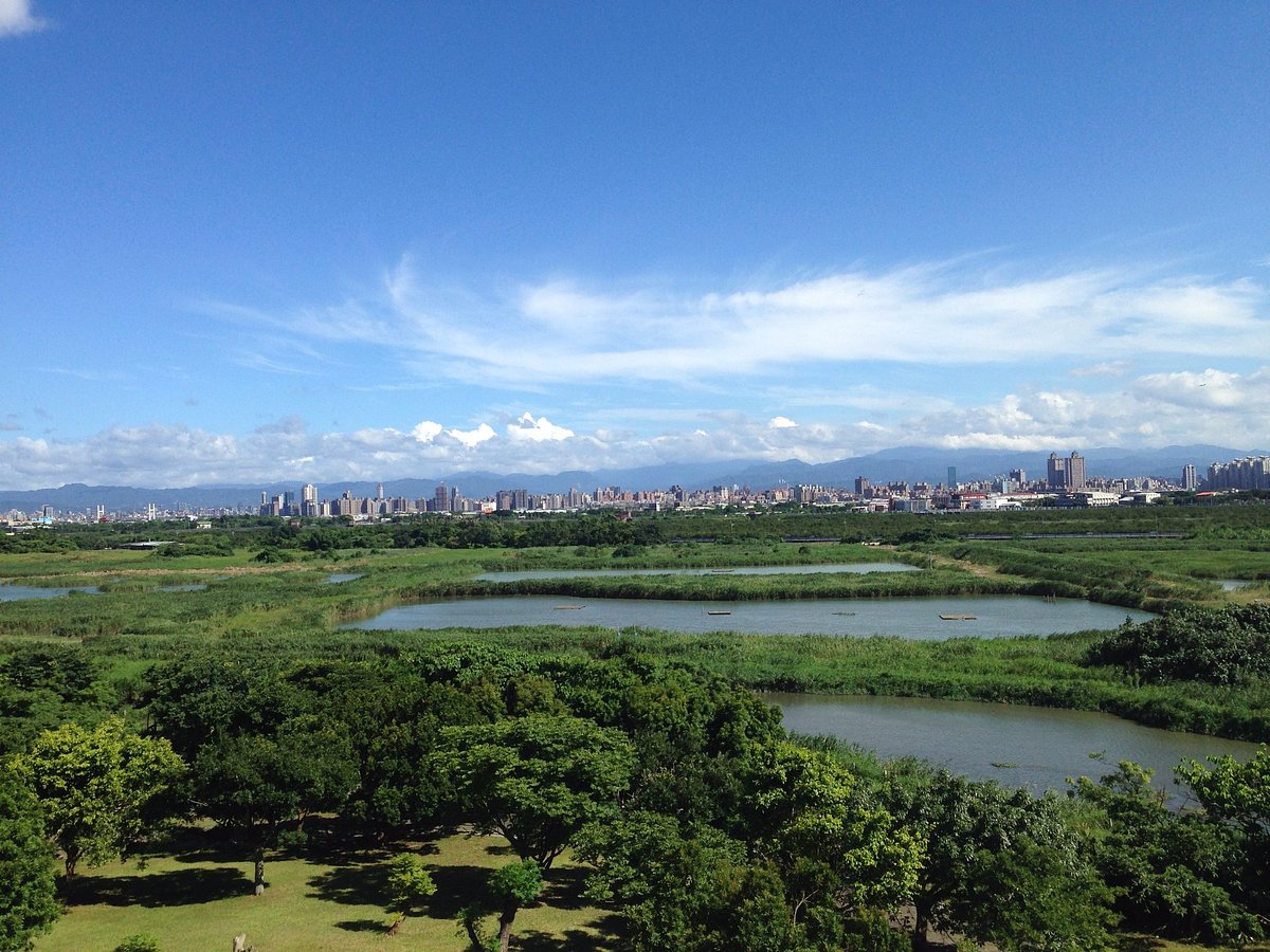 关渡平原湿地景观，远处的观音山