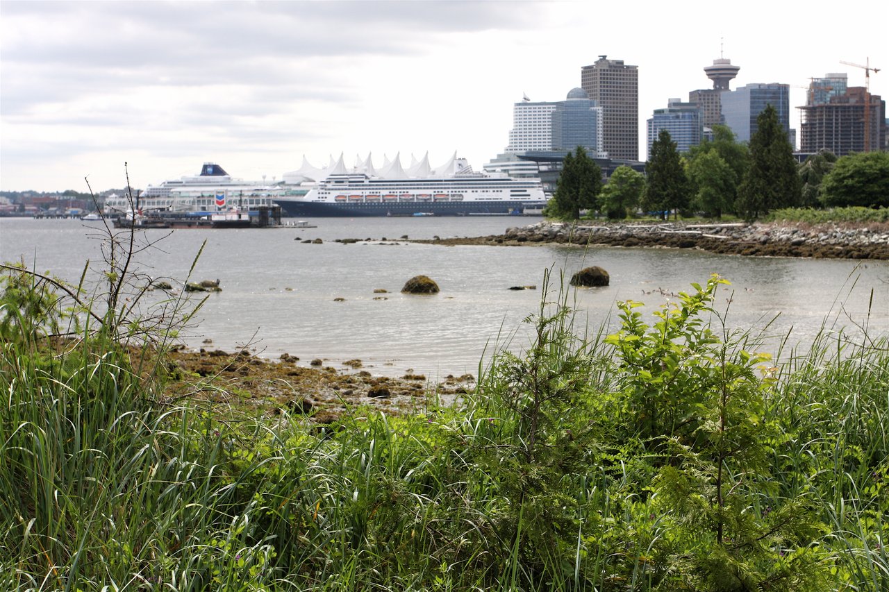 大型邮轮停靠在 Canada Place 码头泊位，白帆屋顶在邮轮后方