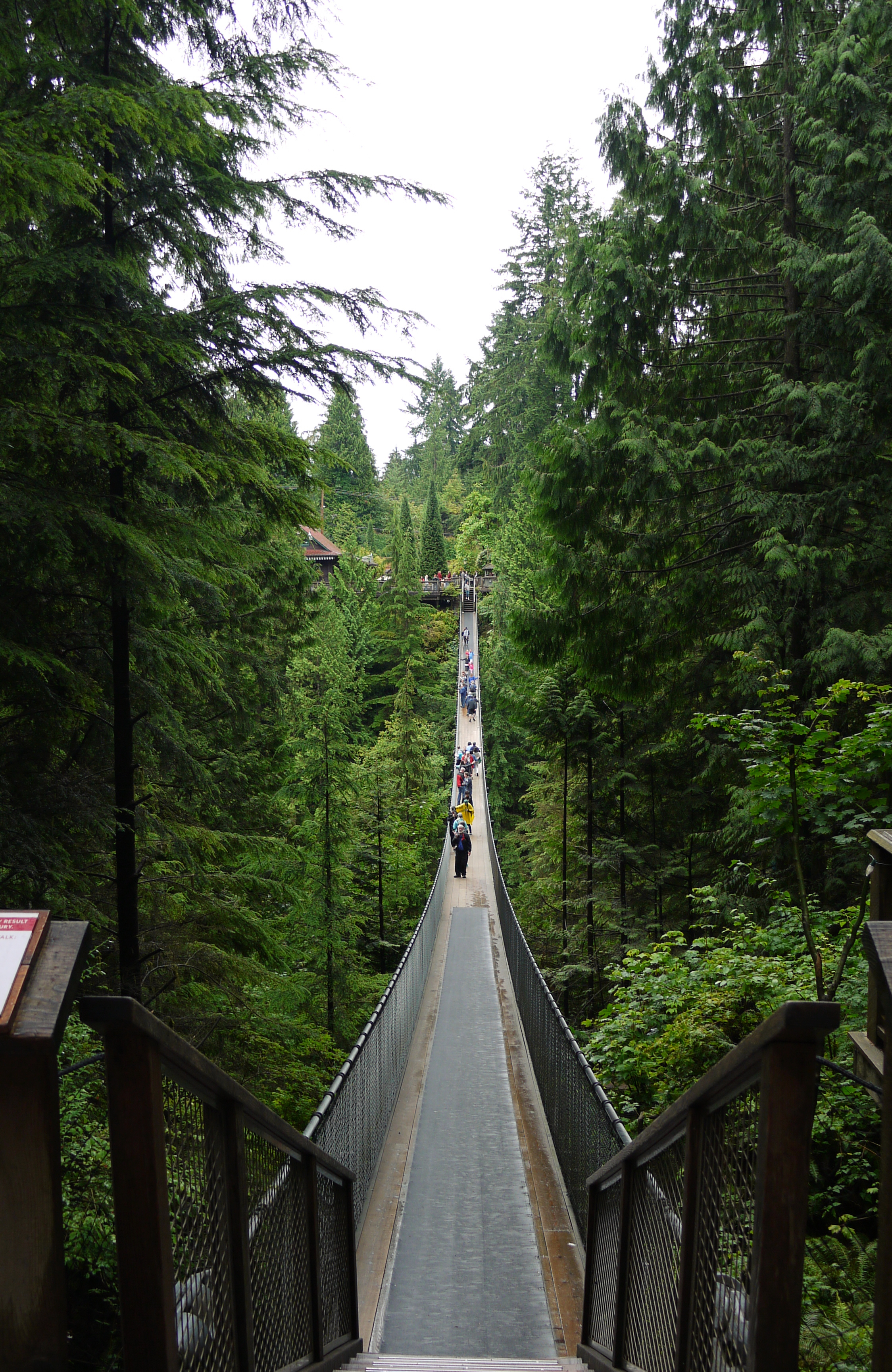 Capilano Suspension Bridge 全貌：137 米跨度、70 米落差、木面+钢索悬索结构