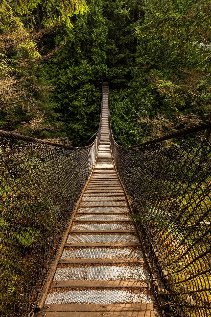 Lynn Canyon Suspension Bridge：40 米跨度、50 米落差、窄到仅够两人交错的木面悬索结构