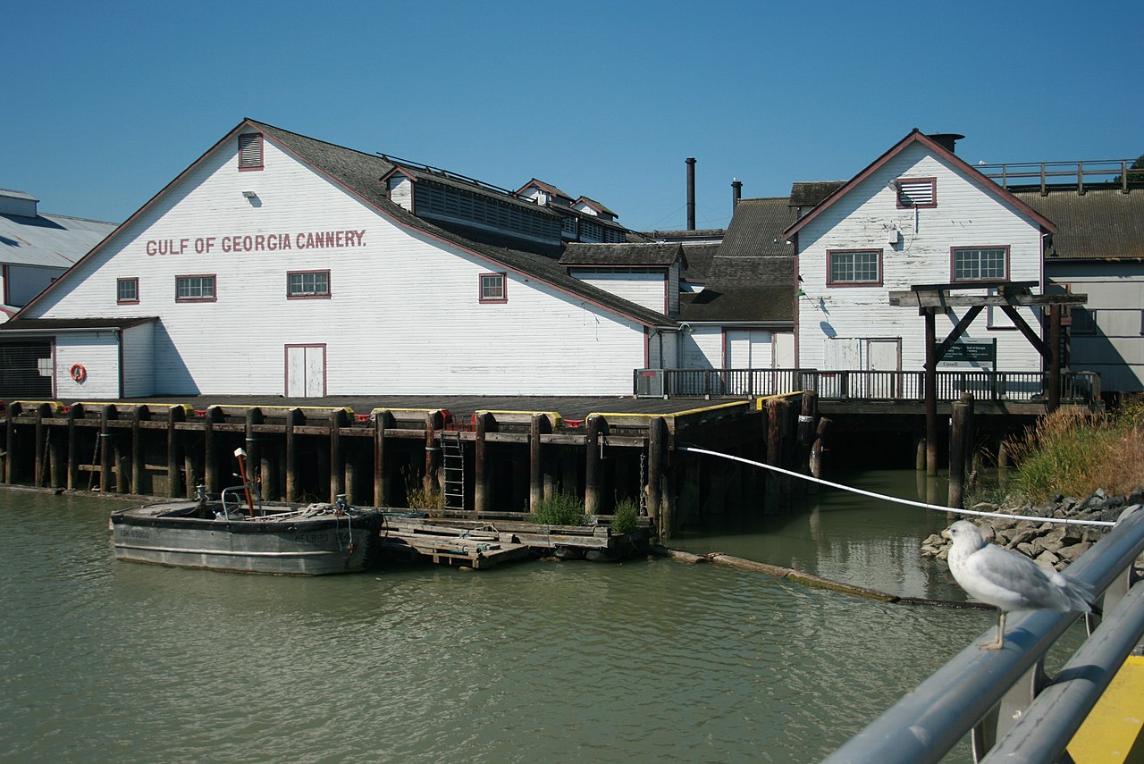 Gulf of Georgia Cannery 外观全景，1894 年木结构建筑建在 Fraser River 河口的木桩平台上，Steveston 渔村