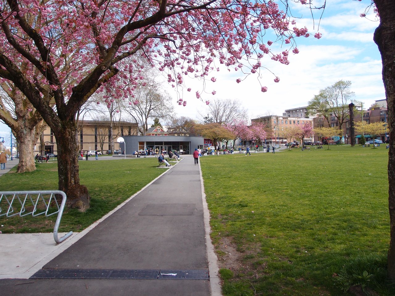 Oppenheimer Park，旧日裔社区的中心公共空间