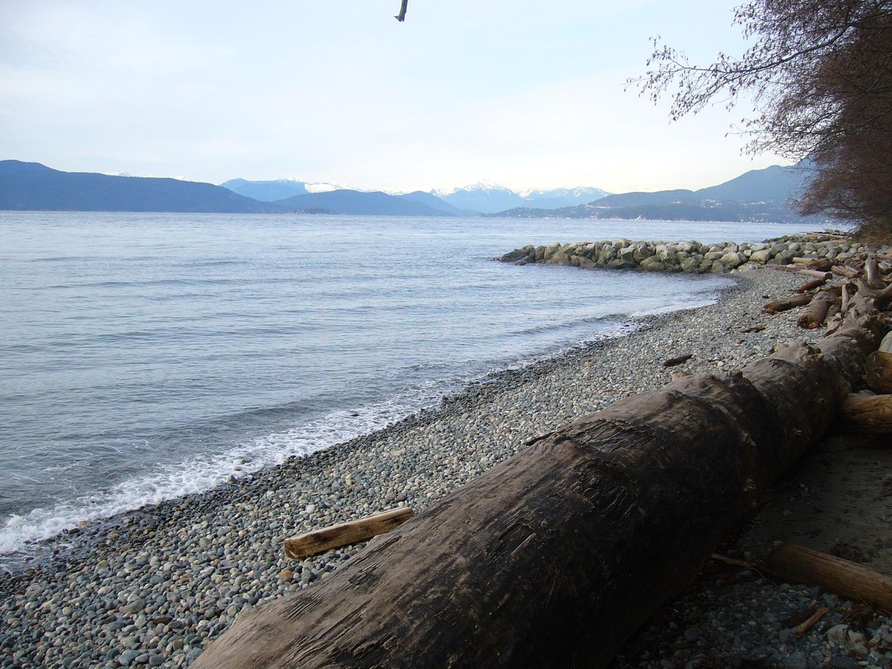 Wreck Beach 崖线下的漂木和海岸线，楼梯连接到崖底形成完整海岸进入系统