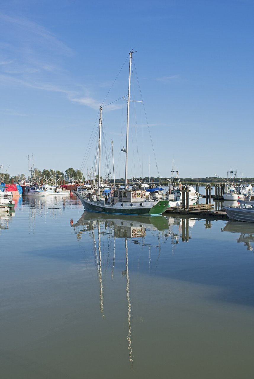 Steveston Harbour 与弗雷泽河，渔船仍在码头停泊，木栈道延伸向远方