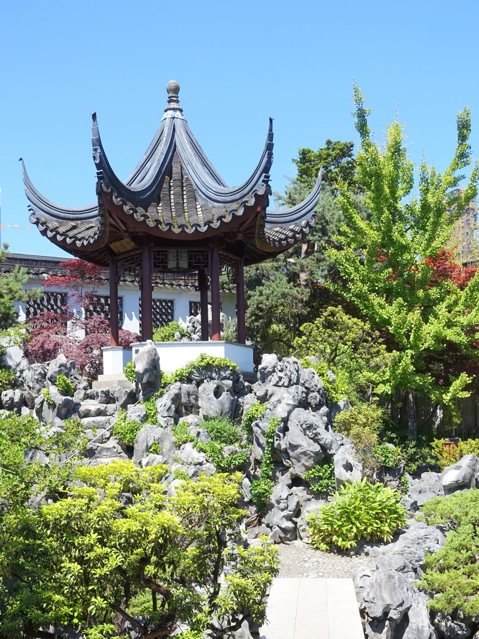 太湖石与亭台近景，太湖石的孔洞和蚀刻痕迹是苏州附近水下石灰岩经数千年溶蚀形成的特征