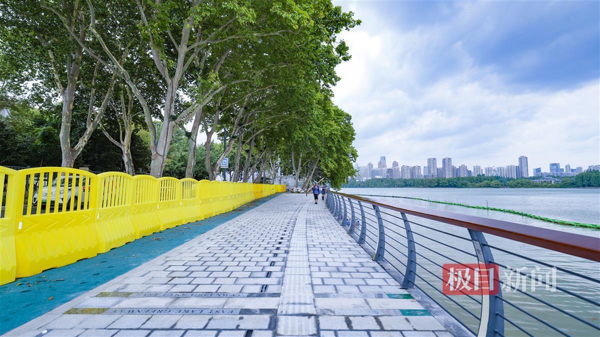 书香道湖畔步道，绿树成荫，行人漫步