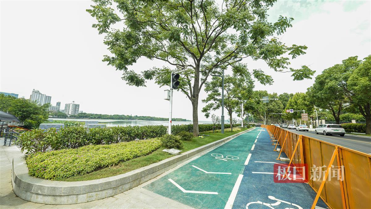 东湖绿道书香道，机动车道、自行车道和步行道三线分流