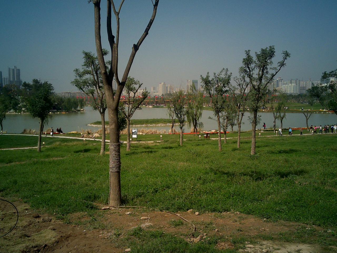 太液池全景：唐代宫苑后庭园林区的核心景观