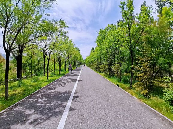 宁湖湿地公园开阔水面和木栈道