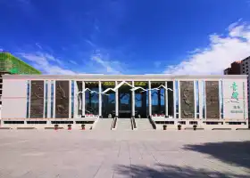 宁湖湿地芦苇滩涂