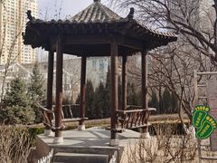 傍晚时分的公园生活场景