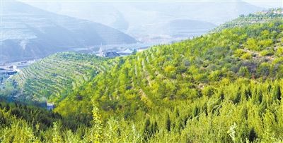 北山部分坡面的绿色和裸露对比