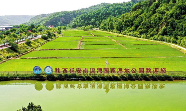 南泥湾国家湿地公园