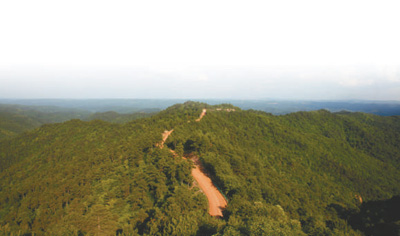 秦直道甘泉段路面在山梁上的全景，夯土带与两侧植被形成清晰分界