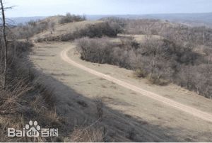 秦直道在子午岭山脊上的远眺，路面植被稀疏，与两侧茂密山林形成对比