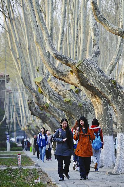 路遥文学馆入口，位于窑洞群一层，利用原有窑洞空间改建