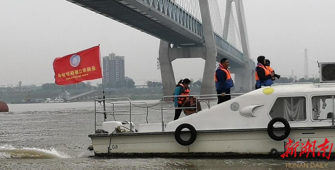 三座大桥在洞庭湖口约4公里范围内并列跨越