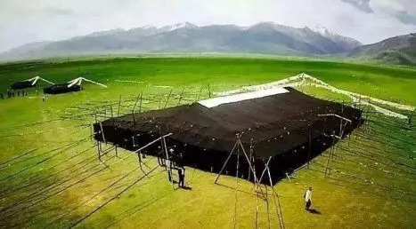 黑帐篷搭建在夏季草场上