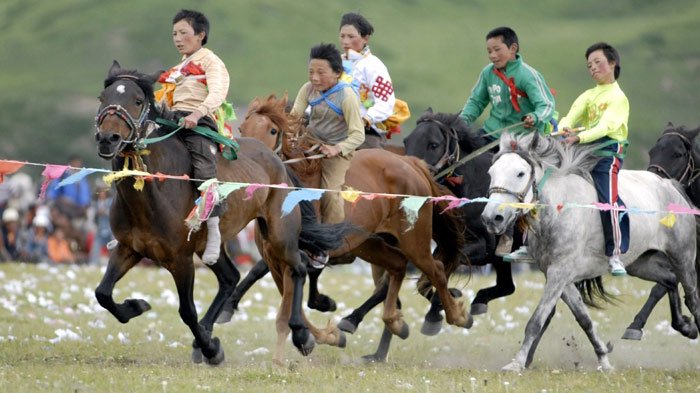 乘马拾哈达表演
